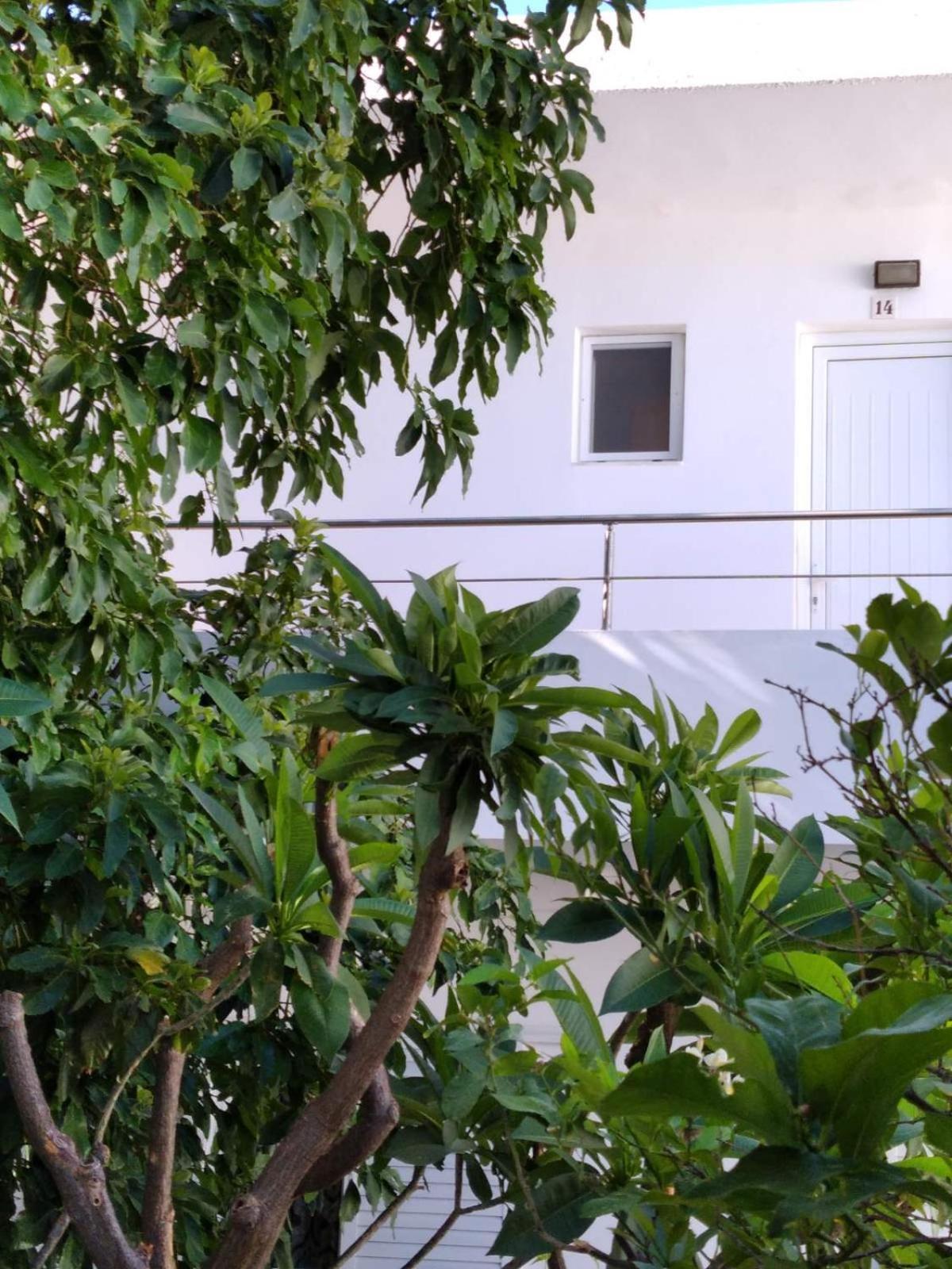 Maria Studios And Apartments Haraki Ngoại thất bức ảnh