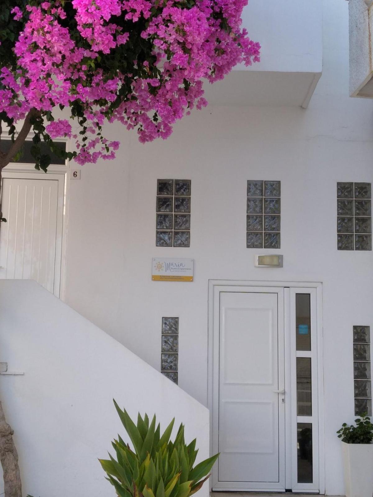 Maria Studios And Apartments Haraki Ngoại thất bức ảnh