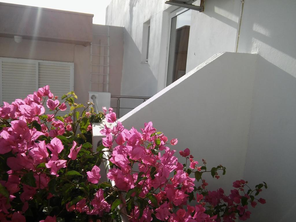 Maria Studios And Apartments Haraki Ngoại thất bức ảnh